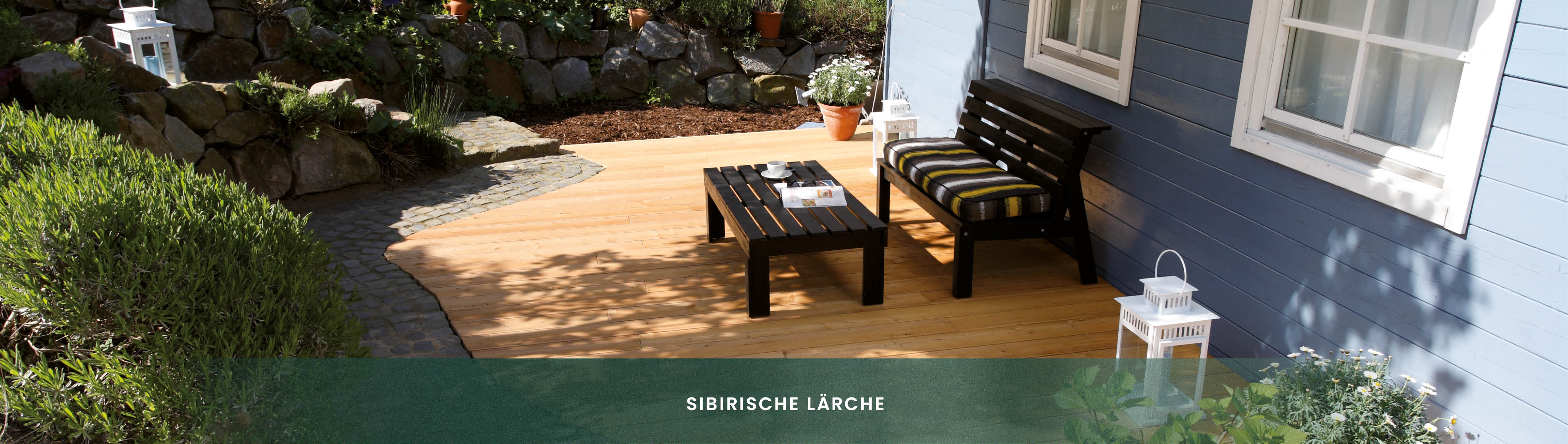 Sibirische Lärche