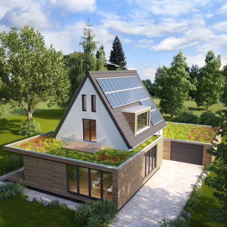 WUNDERWERK est. 1964 Gründach-Paket